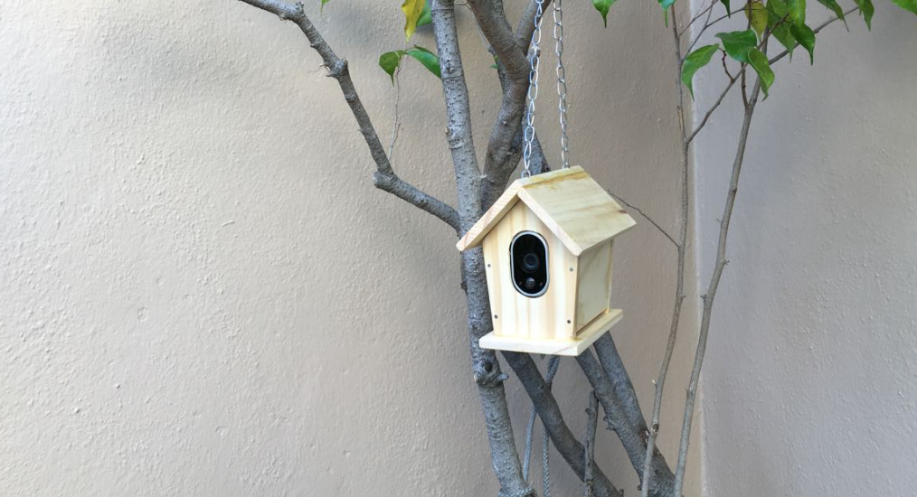 8 Ways to Hide a GoPro to Take Special Photos Hollyland