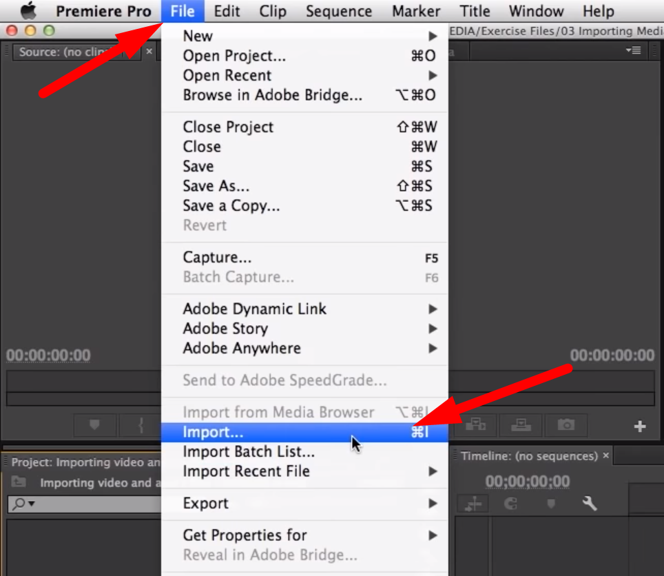 How to Add Audio to Premiere Pro Step by Step Hollyland